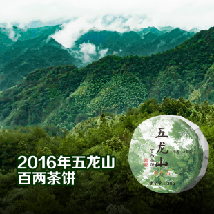 五龙山-2016年百两茶饼花卷茶130g 安化黑茶7.28
