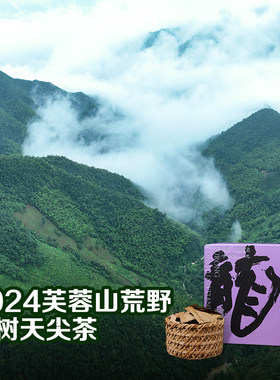 芙蓉山安化黑茶芙蓉龙团天尖