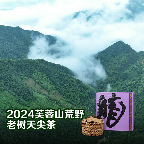 芙蓉山安化黑茶芙蓉龙团天尖
