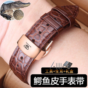 天王美洲鳄鱼皮真皮手表带男女原装款5844 3874 3833p真皮表链20M