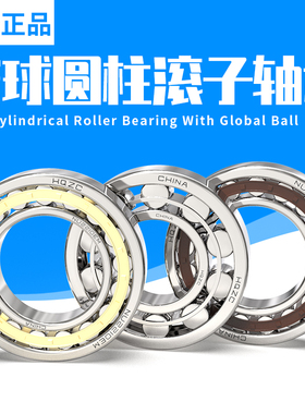 寰球HQZC圆柱承重轴承N NU NJ RN NUP 405 406 407 408 EW EM C3