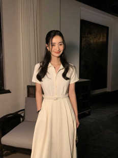 新款 连衣裙场合夏季 休闲气质简约小众长裙子 式 高级感polo领衬衫