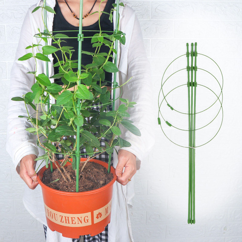 植物架子花支架月季花架室内花卉植物支撑杆绿萝铁线莲攀爬架园艺