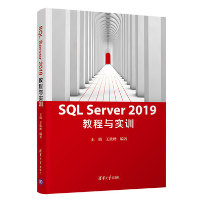 正版新书 SL Server 2019 教程与实训 9787302565000 清华大学出版社 ZR