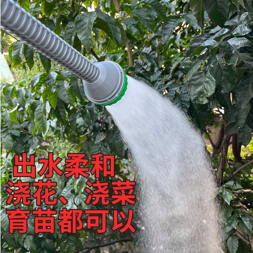 农用浇花浇地浇菜园林浇水浇花雾化育苗花洒水枪4/6分1寸便携喷头