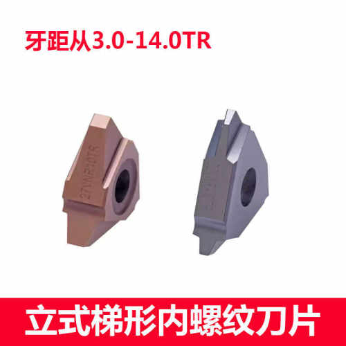 立装梯型30度内螺纹刀片