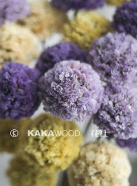 北欧家居软装植物干花新娘婚礼