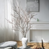 玉兰干枝小众插花神器高端天然植物插花材家居软装 酒店民宿样板房