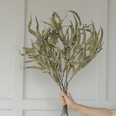 kakawood花社北欧家居软装饰品 纯天然植物干果干枝干花 尤加利果