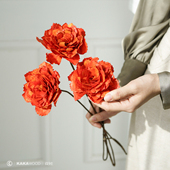 饰插花神器酒店民宿客厅软装 日式 复古秋色枫叶红天然干花创意装