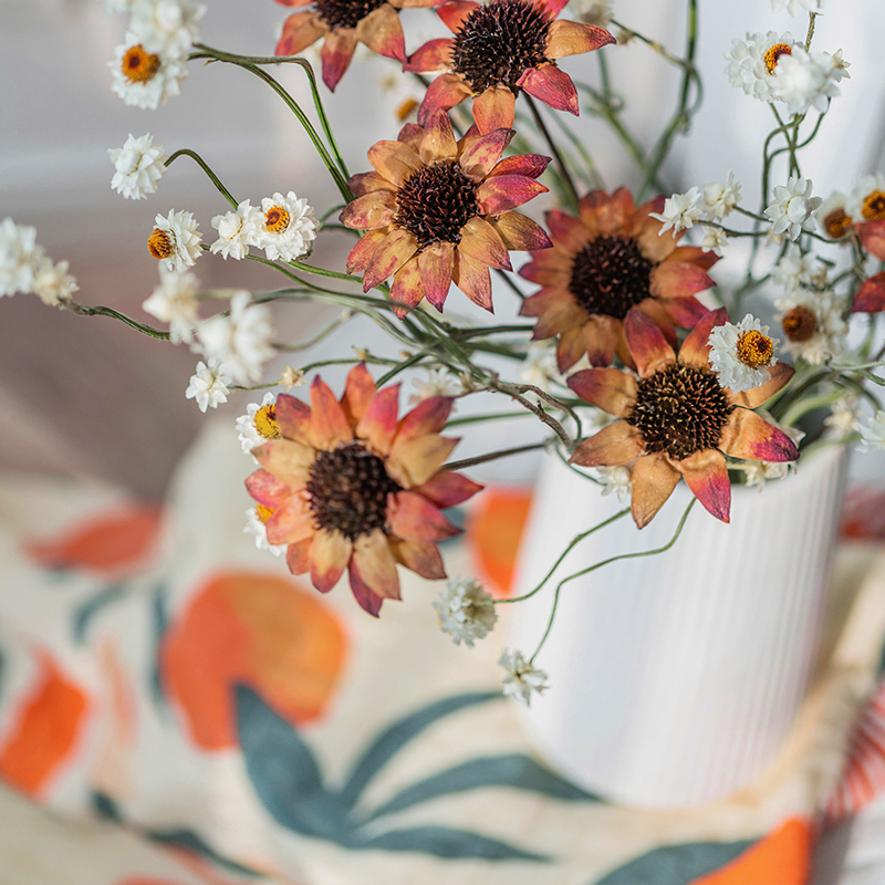 北欧创意果壳植物花艺软装配饰