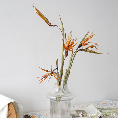 kakawood天堂鸟干花桌面插花