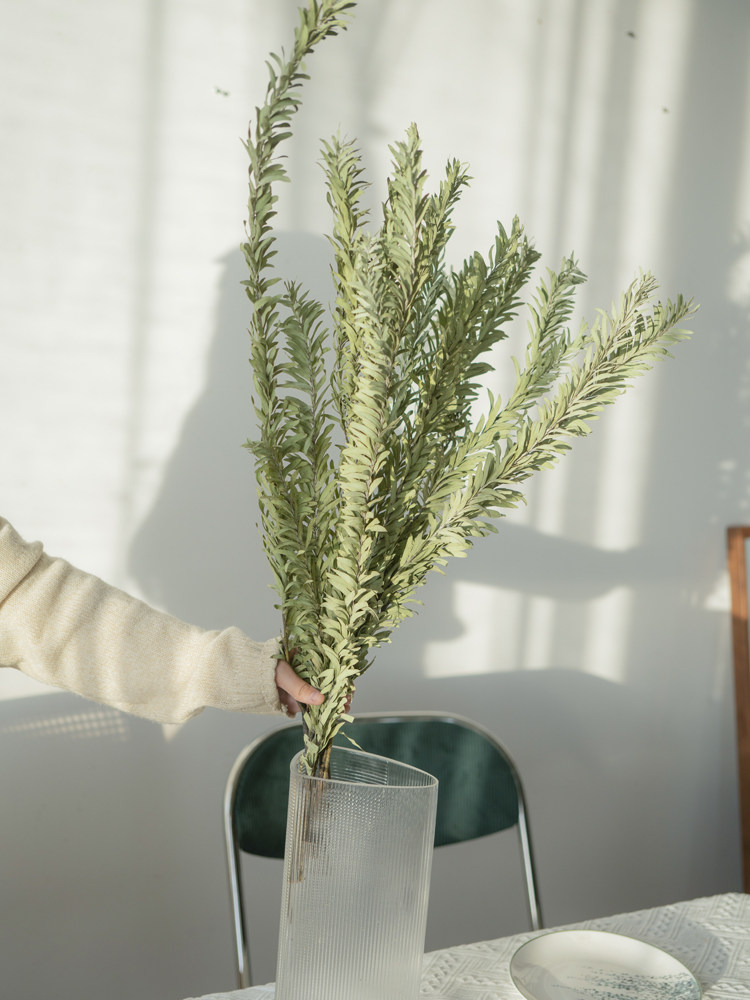 kakawood楠木相思干树枝天然干花叶装饰风干客厅餐厅桌面摄影配草