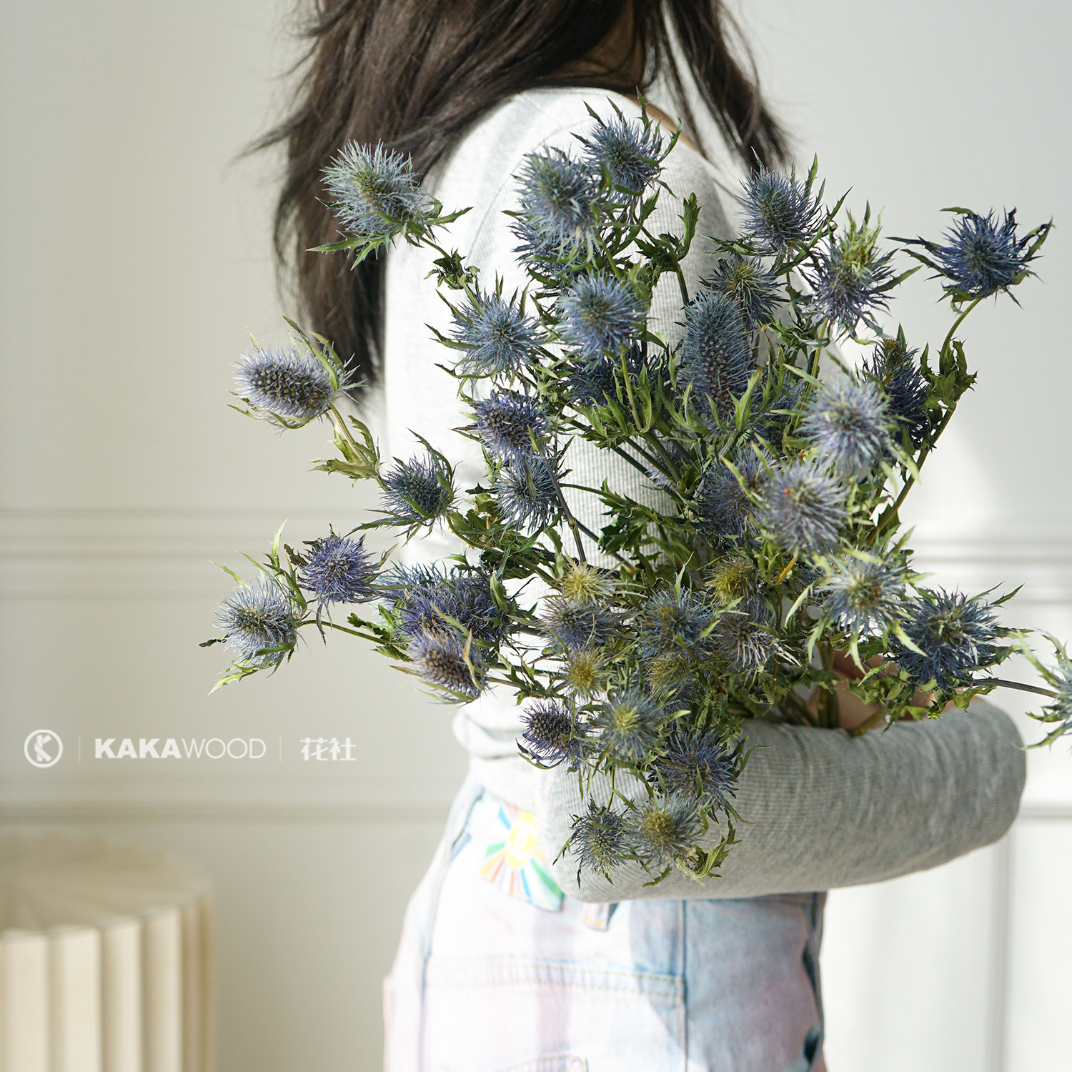 北欧天然干花真花风干设计大刺芹
