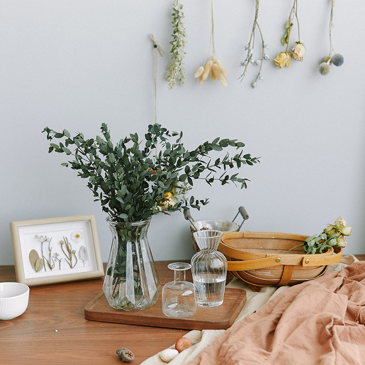 进口永生小叶尤加利叶天然植物配草家具装饰插花搭配橱窗摆设艺术