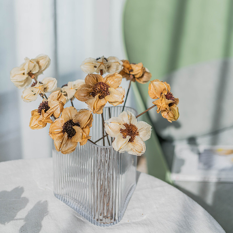 北欧软装设计配饰进口植物干花永生干燥花束果实家居饰品灯笼花,家居饰品,干花/花瓣/干花包/干树枝,淘宝优惠券,粉丝福利购,淘宝优惠卷