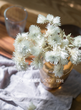 北欧饰品进口干花束干燥花天然植物白色花插搭配花材软装岩石花