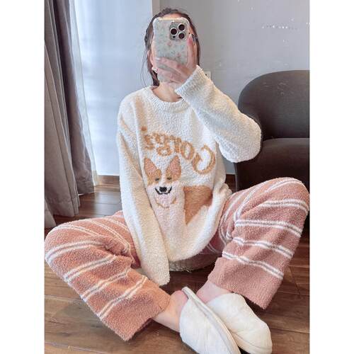 秋冬加厚柯基狗半边绒睡衣女