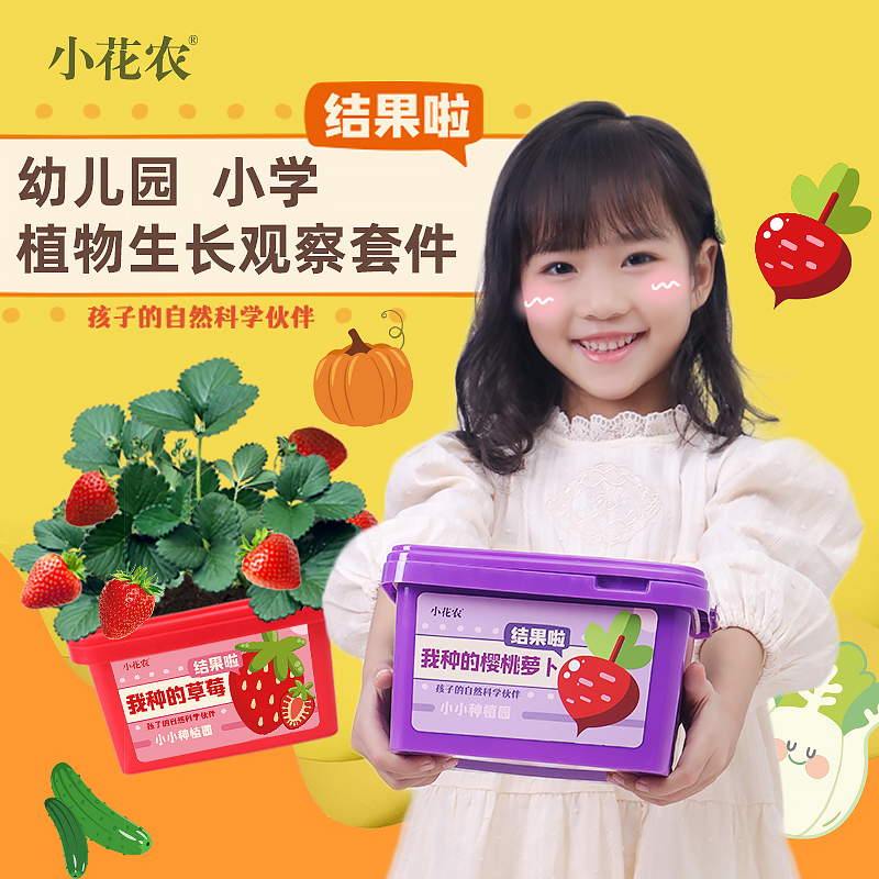 种植小盆栽小花农儿童幼儿园