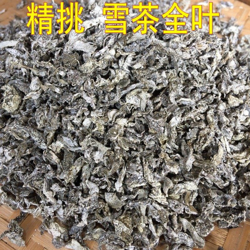 精挑 丽江雪茶 马帮茶 苍山雪 纳西茶藤茶 雪山古茶 白雪毫白露茶
