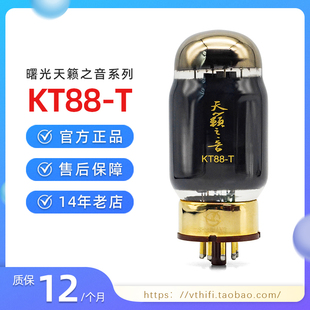 2023新品长沙曙光天籁之音KT88-T电子管 代KT88-Z KT120碳晶