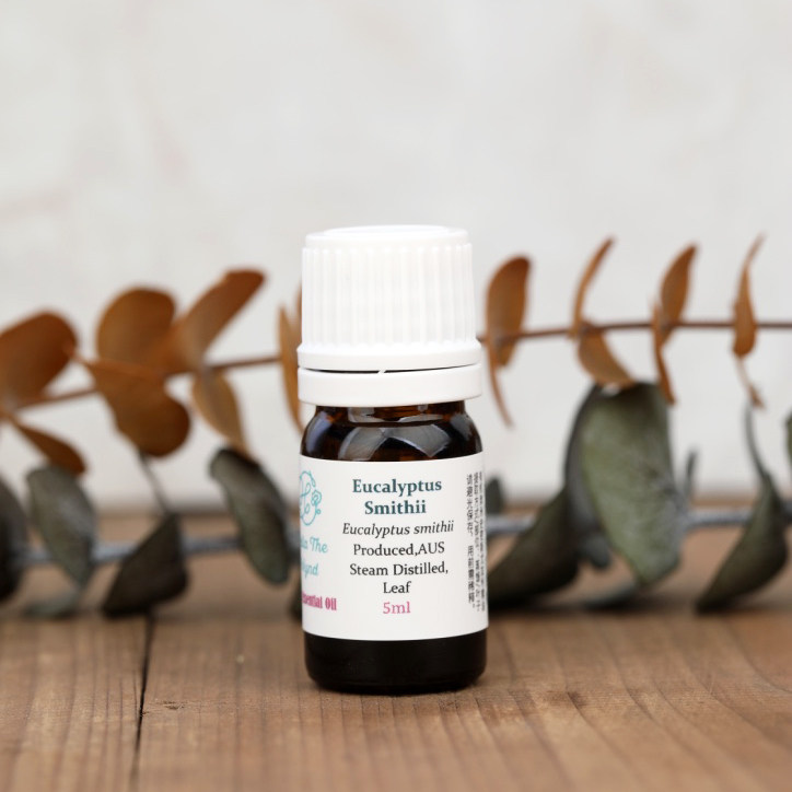 有机澳洲史密斯尤加利精油单方5ml香薰儿童呼吸畅通芳疗手作diy
