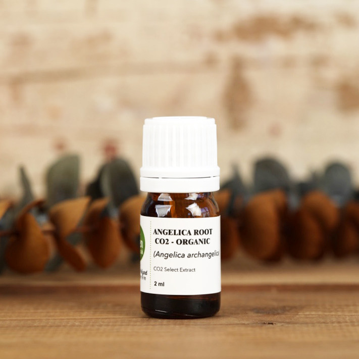 eden德国有机co2欧白芷根单方精油2ml洋当归天使草圣l根调经芳疗