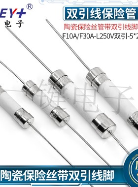 陶瓷保险丝管带双引线脚 F10A/F30A-L250V双引-5*20/6*30 快熔断