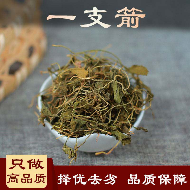 一支箭 中药材 青藤 蛇咬子 瓶尔小草 蛇须草 蛇舌草 中草药