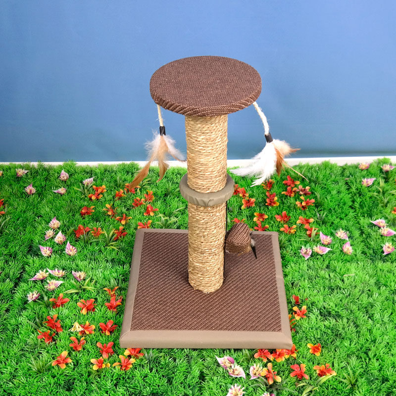 众宠宠物猫咪用品玩具猫爬架剑麻猫磨爪猫抓板猫树猫窝猫抓柱包邮