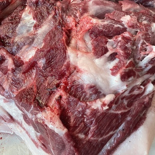 东北农家笨养猪隔年陈喂养一年半纯苞米面豆饼喂养新鲜现杀土猪肉