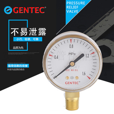 美国捷锐减压阀GENTEC 压力表 压力计 铜压力表