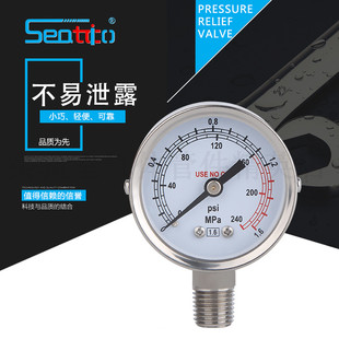 泰科爱尔压力表 AR压力表不锈钢压力表 防腐压力表