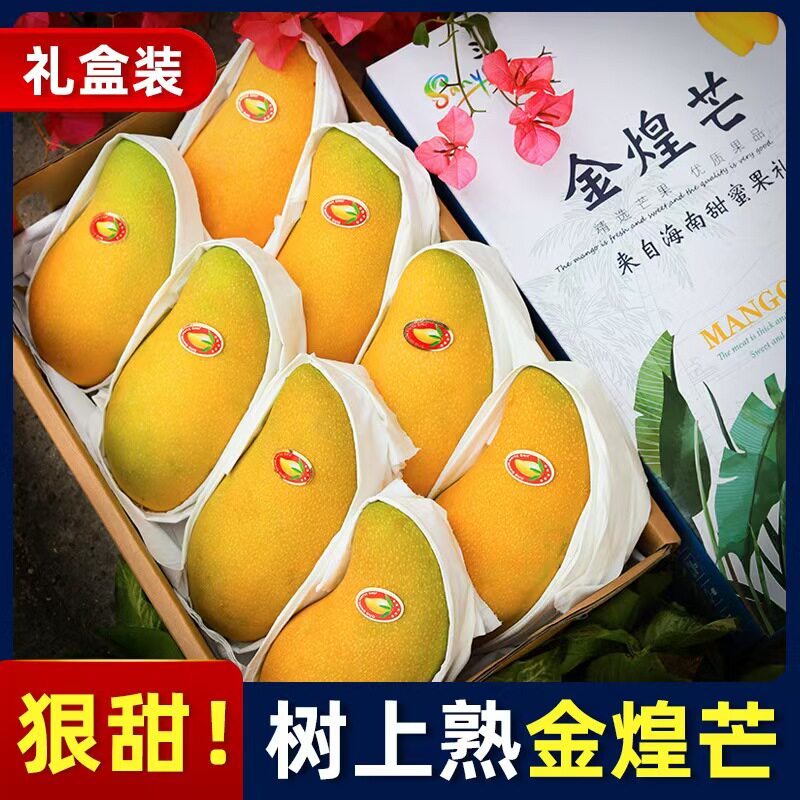 新鲜海南金煌芒现摘现发