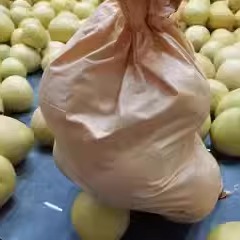 福建漳州平和蜜柚三红柚现摘秒发
