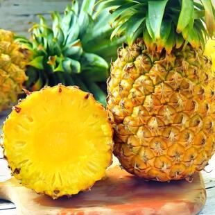 海南金钻凤梨新鲜水果8斤现货发大手撕凤梨无眼树上熟整箱