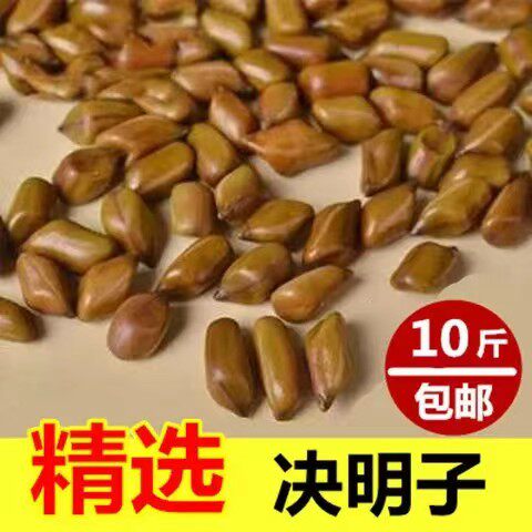 生决明子枕头全填充散装纯决明子枕芯儿童婴儿宝宝圆柱颈椎护颈枕