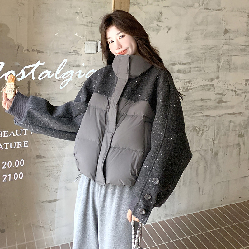 女装/女士精品羽绒服其他/other白鸭绒2025年冬季