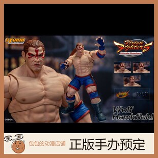 Virtua 沃尔夫 Toys VR战士5 可动人偶兵人 Fighter Storm