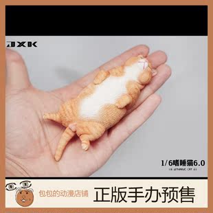 摆件手办 JXK 静态动物模型 嗜睡猫 6.0