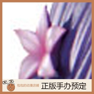日版 insight 手辦 肉感少女 麗 鄰家姐姐是暴露狂？
