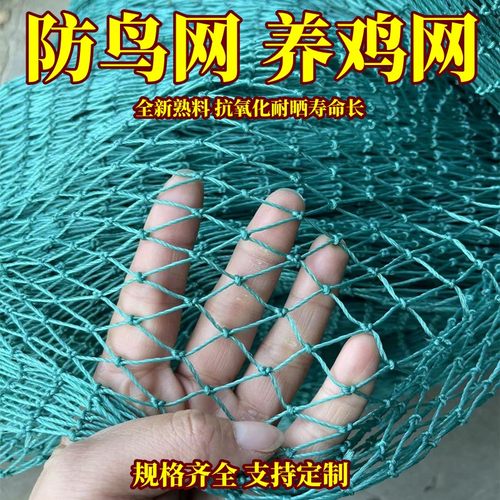 定制养鸡网防鸟网户外聚乙烯养鸡网拦鸡鱼塘大棚果园果树防鸟天网