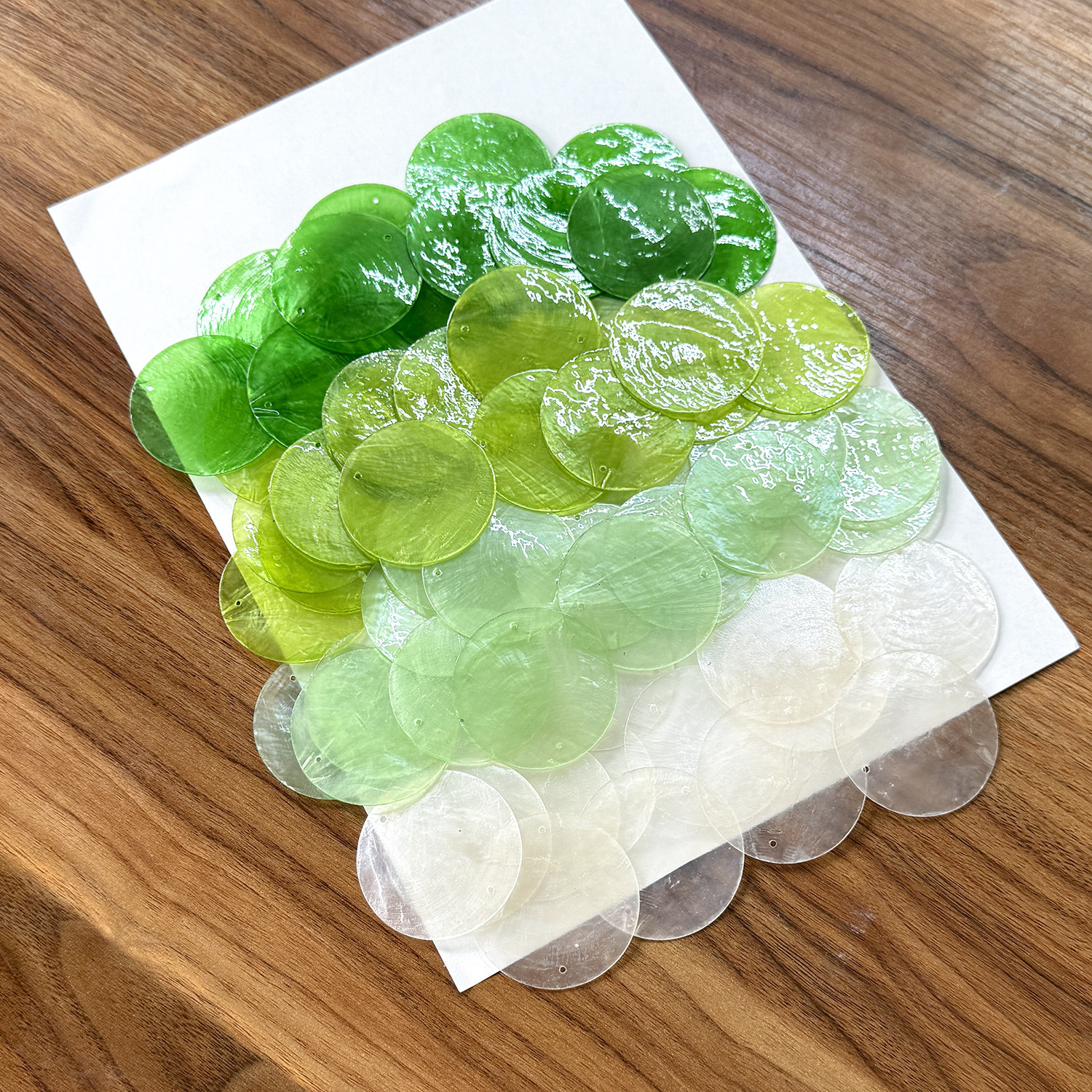 高品质彩色贝壳片多色可选可定制