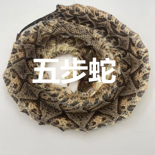 中药材蕲蛇五步蛇八步蛇整条大蕲蛇身干100g另有眼镜蛇蝮蛇白花蛇