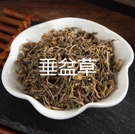 云南中药材垂盆草新货干货500g精选天然无硫中草药泡水喝品质保证