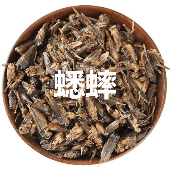 蟋蟀干中药材新货蛐蛐夜鸣虫虫秋虫将军干500g另有蚂蚱干昆虫大全