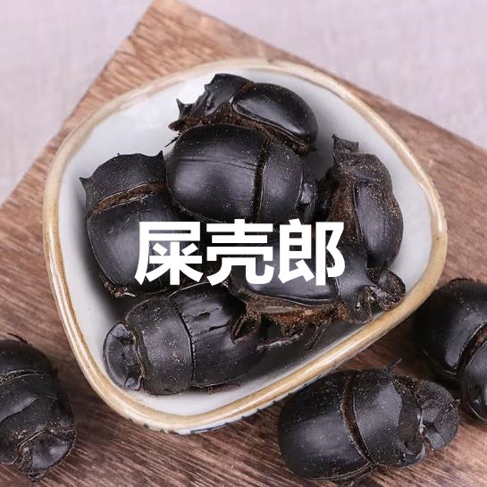 中药材蜣螂虫大将军黑兜虫屁板虫屁巴虫屎壳郎推粪虫 500克清水货