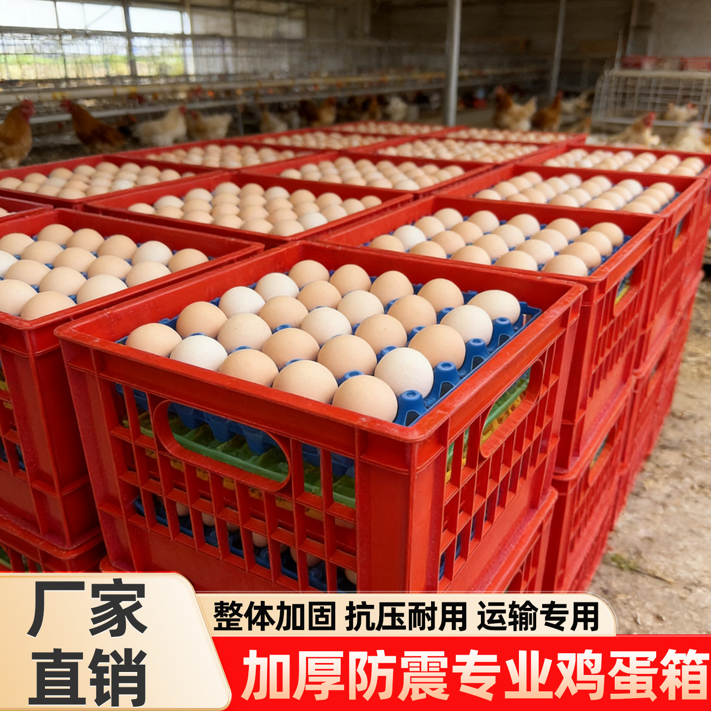 塑料折叠蛋筐鸡蛋箱鸡蛋筐子