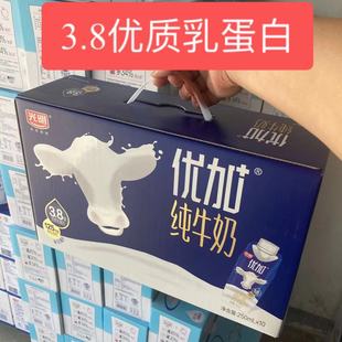 9月份产光明优加纯牛奶3.8优质乳蛋白梦幻盖 10瓶整箱 250ml