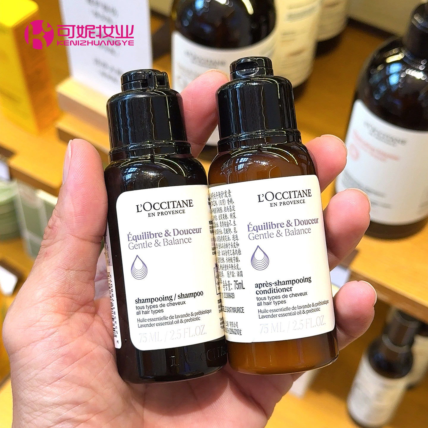 L'occitane欧舒丹草本香菁纯平衡洗发水护发素75ml控油蓬松蓬发瓶,美发护发/假发,洗发水,淘宝优惠券,粉丝福利购,淘宝优惠卷